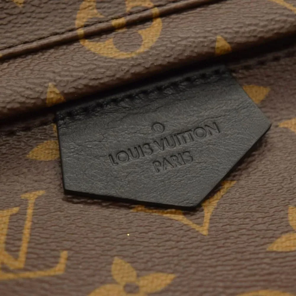 Louis Vuitton Palm Spring Monogram Backpack Rucksack MM Brown
